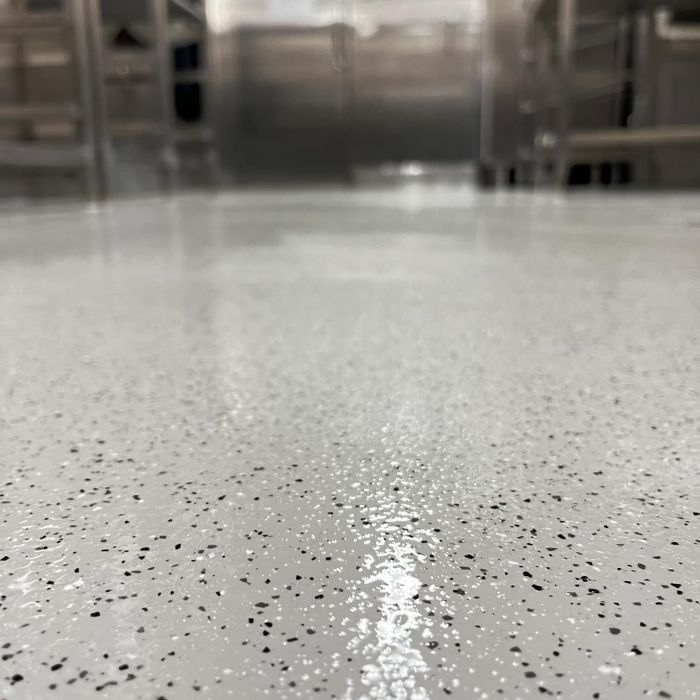 Baltic Princess Fast Lane Galley